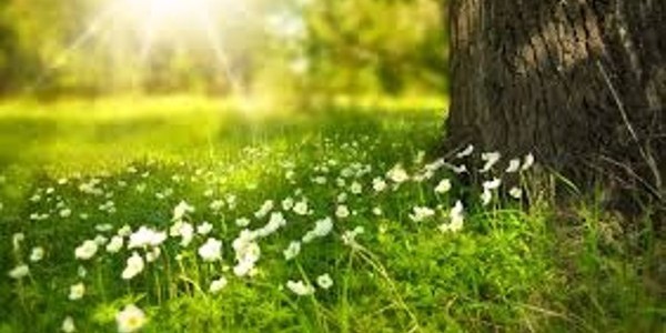 Spring Sanctuaries