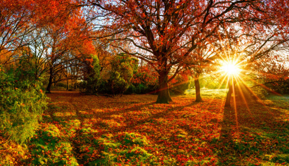 Autumn Breaks