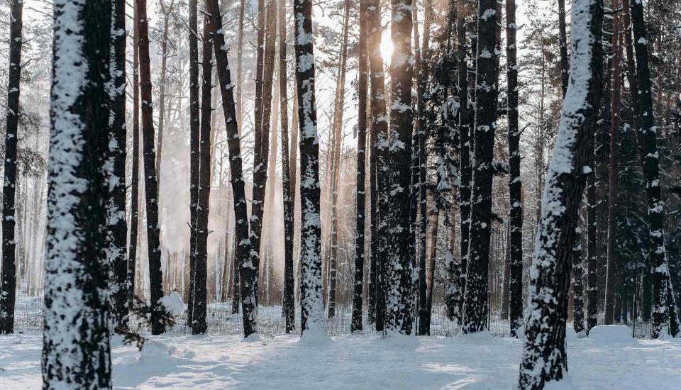 Exclusive Winter Package