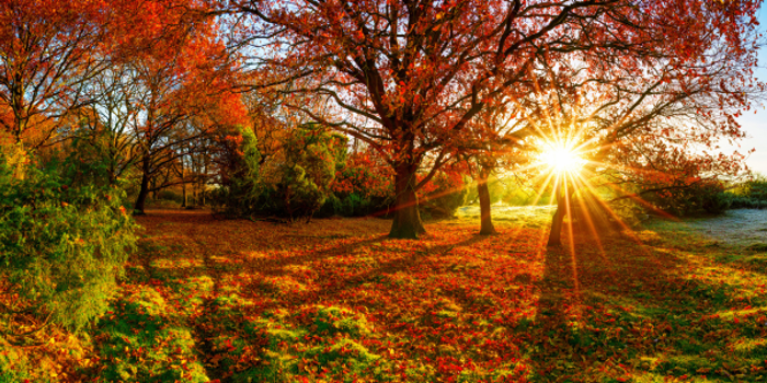 Autumn Breaks