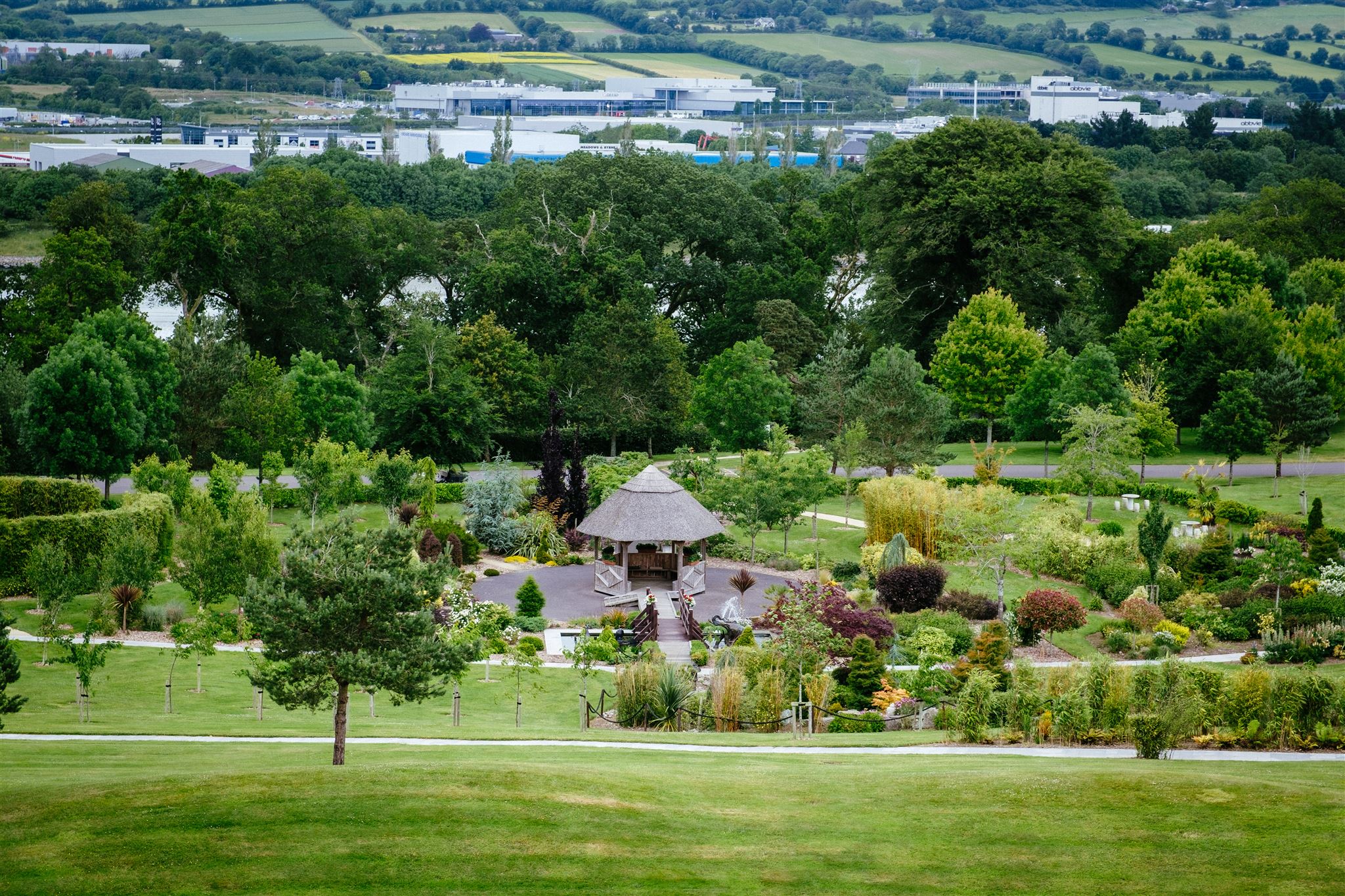 Wedding photos Fota