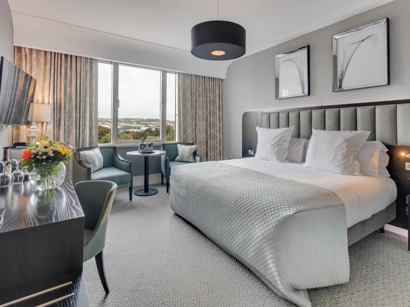 Deluxe King room image
