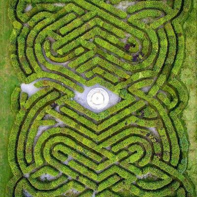 Ballymaloe maze