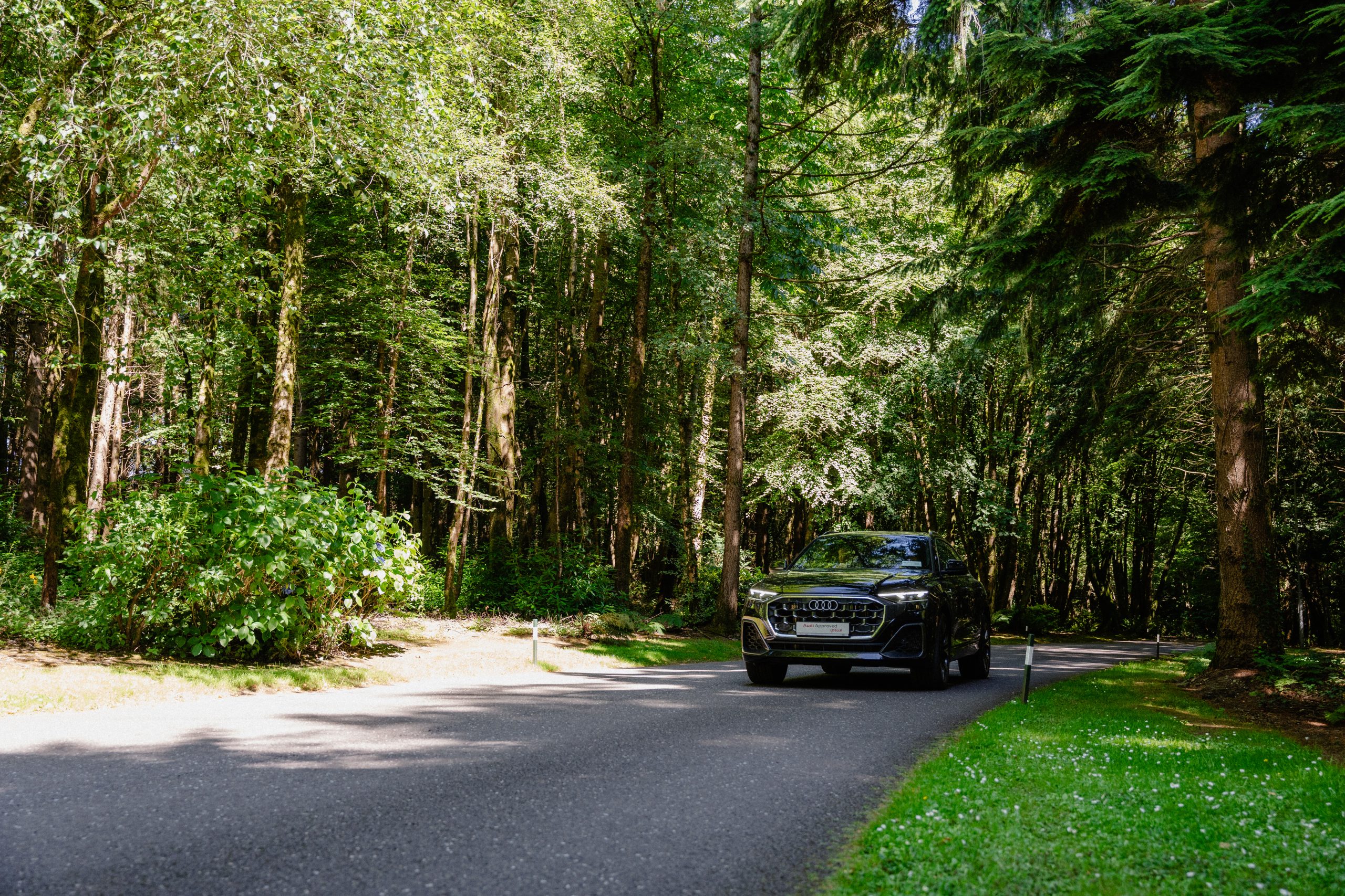 Electric Audi car driving up the entrance of Fota Island Resort