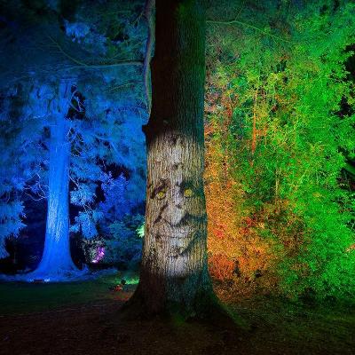 Wood lit up