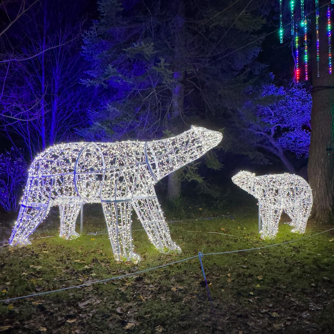 2 polar bear lights
